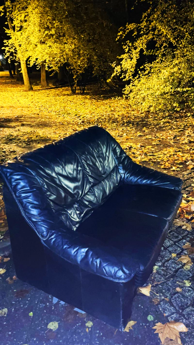 item 015 - Found: Lichtenberg (Foto: PACOV Community)